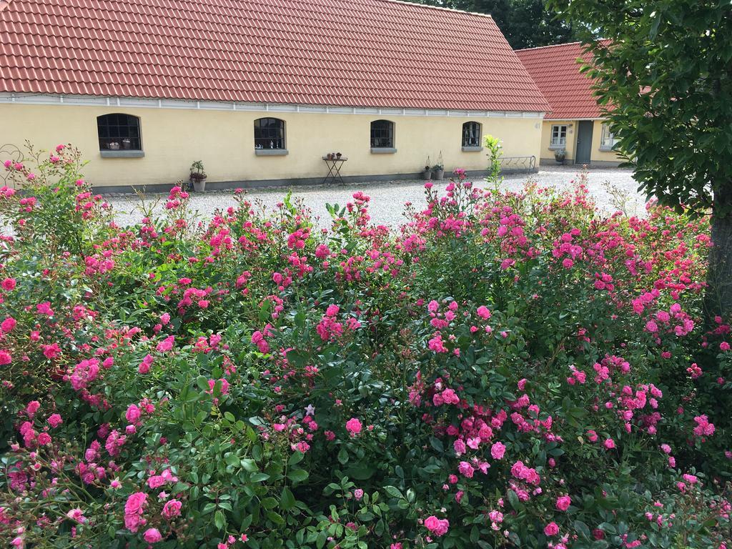 Birkende Bed And Breakfast Langeskov Exterior photo